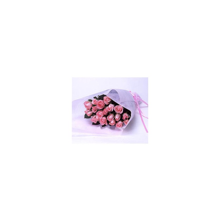 Nineteen pink roses