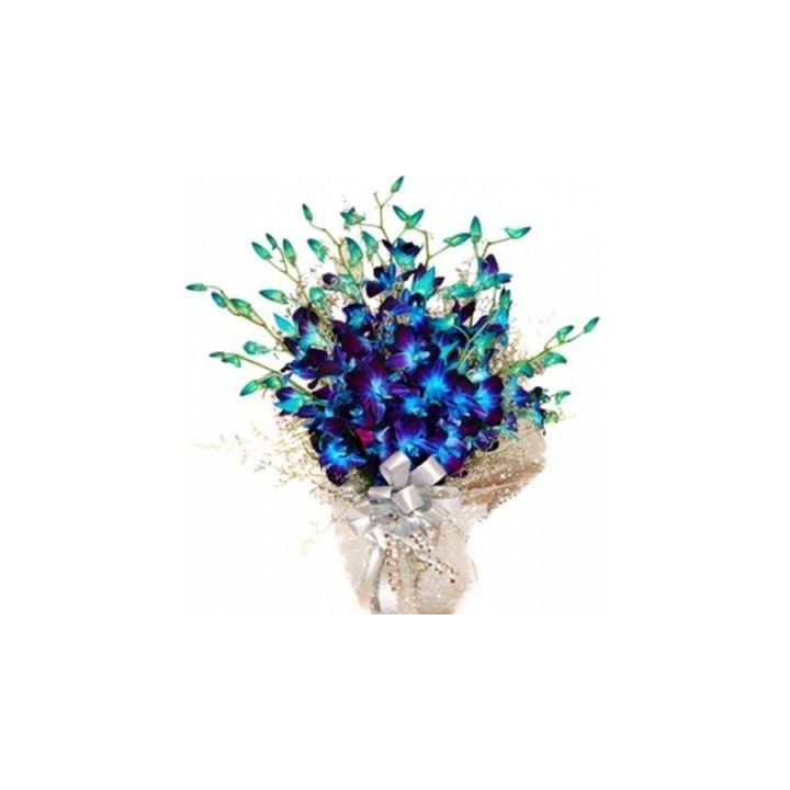 Blue Orchids Bunch 12 Stems