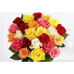 Magical Sunny Mixed Roses