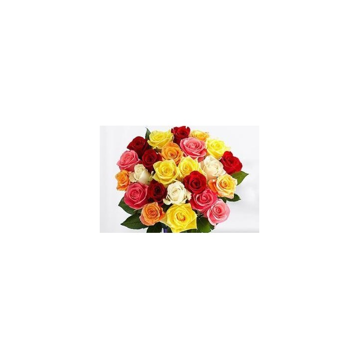 Magical Sunny Mixed Roses