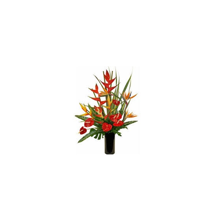 Anthurium And Bird Of Paradise in Vase 15 stems