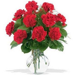 24 Red Carnations Vase