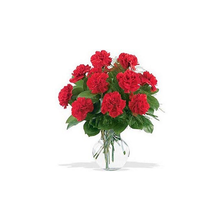 24 Red Carnations Vase