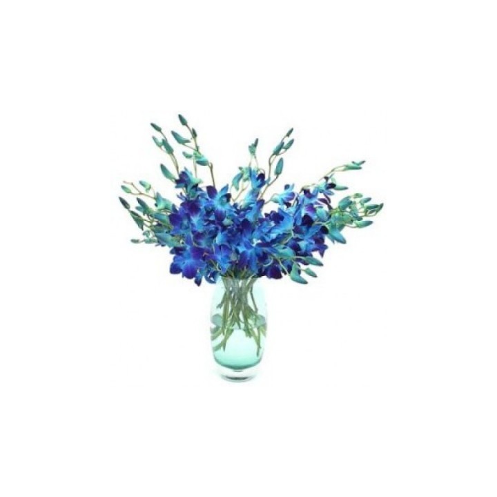 Blue Orchid In Vase 12 Stem of Flowers