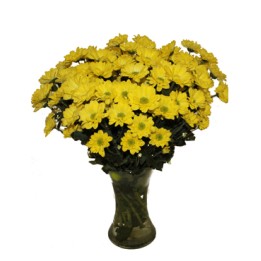 Chrysanthemums in Vase