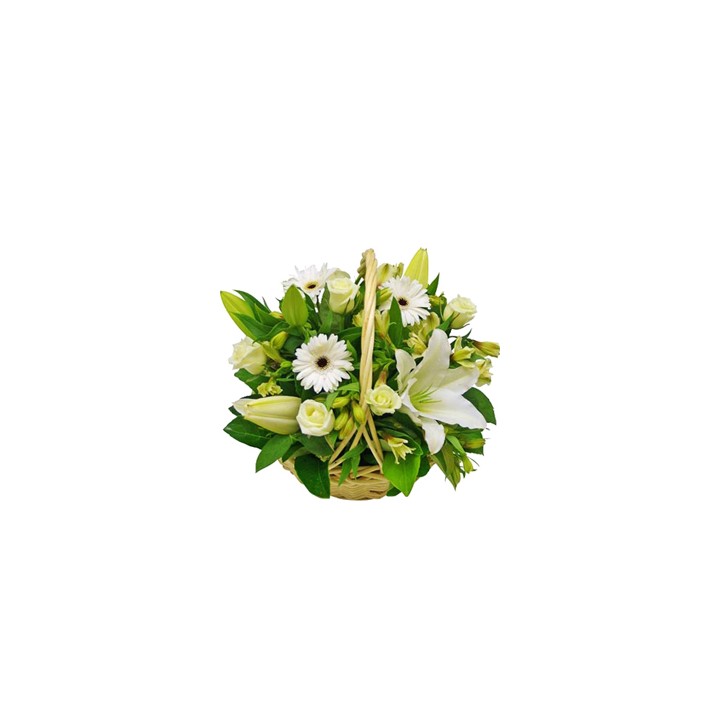 Arrangement of White Flowers