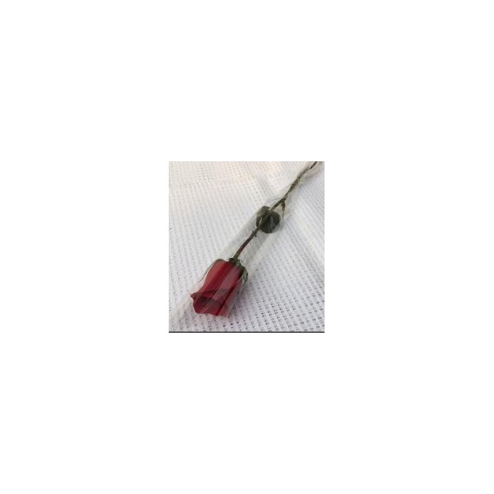 One Fresh Single Rose Flower