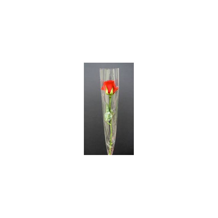 One Fresh Single Rose Flower