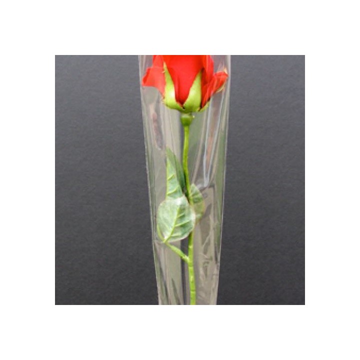 One Fresh Single Rose Flower