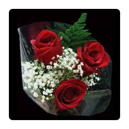 Trio - 3 Roses