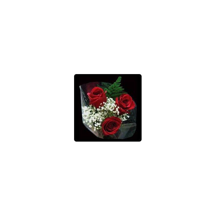 Trio - 3 Roses