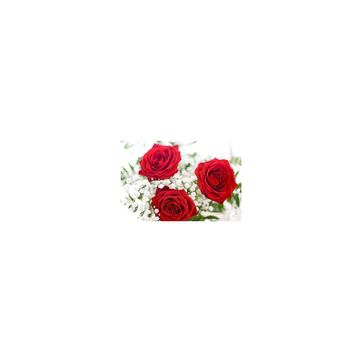 Trio - 3 Roses