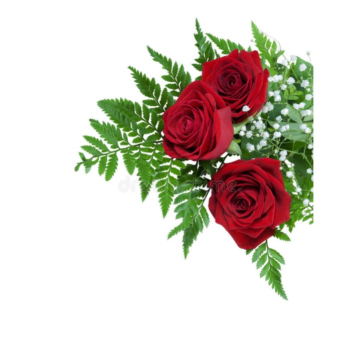 Trio - 3 Roses