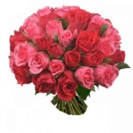 36 Pink and Red Rose Bunch / Bouquet
