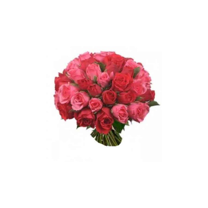 36 Pink and Red Rose Bunch / Bouquet