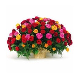 MIX ROSES BASKET 75 FLOWERS