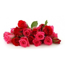 25 Red And Pink Roses Bunch / Bouquet