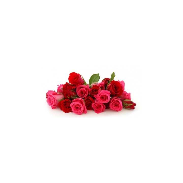 25 Red And Pink Roses Bunch / Bouquet
