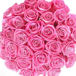 Pink Roses Bouquet 100 Flowers