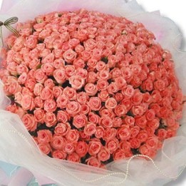 Pink Roses Bouquet 250 Flowers
