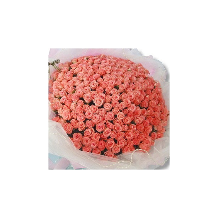 Pink Roses Bouquet 250 Flowers