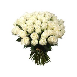 Fifty White Roses
