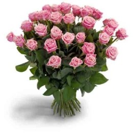 Pink Roses Bouquet 40 Flowers