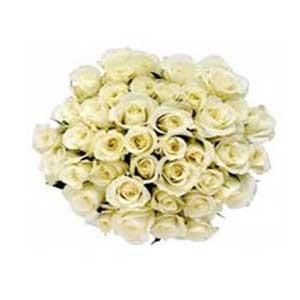 ของขวัญรุ่น "White Roses Bouquet 75 Flowers"