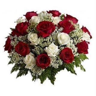 波光粼粼的美丽的花束的红和白色的玫瑰。 迪拜
