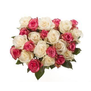 粉红和白色的玫瑰花束 