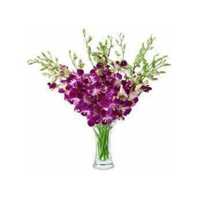 紫色的兰花的花瓶18杆 