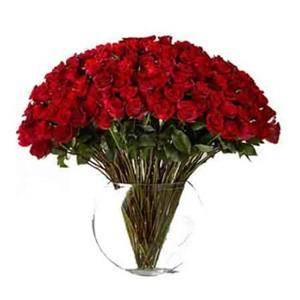 101 roses rouges dans un vase en verre