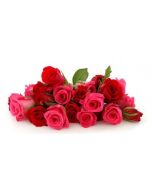 25 RED AND PINK ROSES BUNCH / BOUQUET 