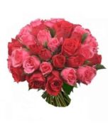 36 Pink and Red Rose Bunch / Bouquet 