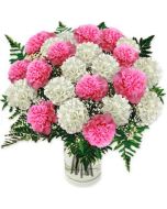 36 Pink N white Carnations in Glass Vase