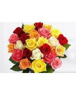 Magical Sunny Mixed Roses