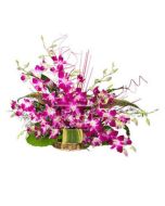 Purple Orchid Basket 24 Stem Of Flowers