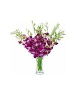 Purple Orchid in Vase 18 Stem 