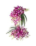 Purple Orchids Tall Arrangement 100 Stem 