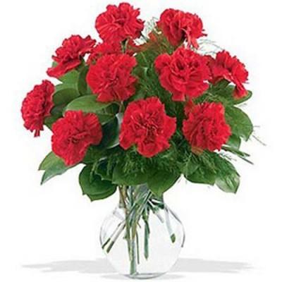24 Red Carnations Vase