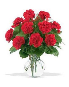 24 قرمز Carnations در یک گلدان