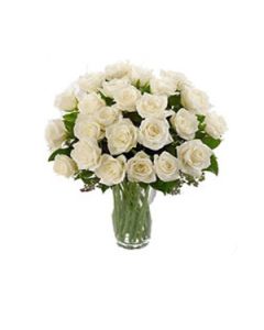 Blanc Vase De Roses 50 Tiges.