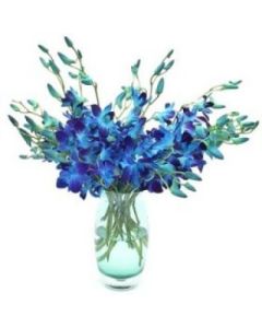 Bleu orchidée dans un vase de 12 tiges de fleurs