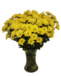 Chrysanthèmes dans un vase