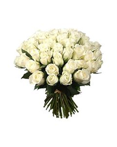 Cinquante Roses Blanches