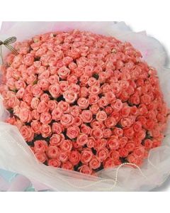 Des Roses Roses Bouquet De 250 Couleurs