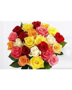 Magical Sunny Mixed Roses