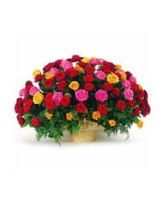 MIX ROSES BASKET 75 FLOWERS