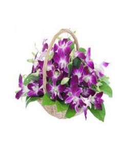 Purple Orchid in Basket 20 Pieces