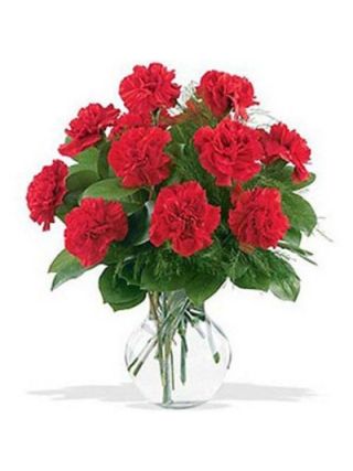 24 Red Carnations Vase - Fresh Flowers Dubai